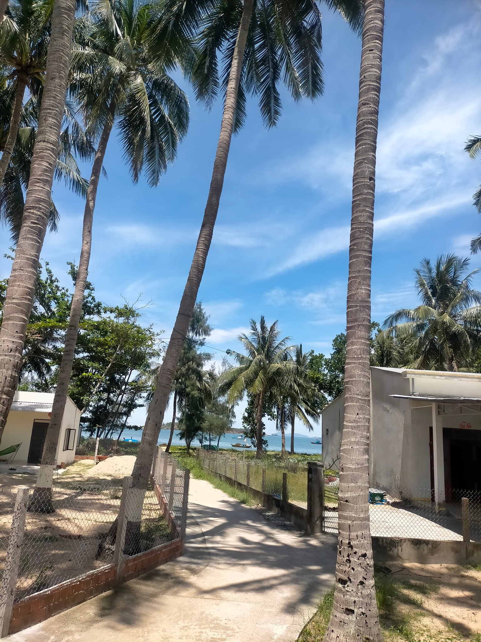 view biển tam hải